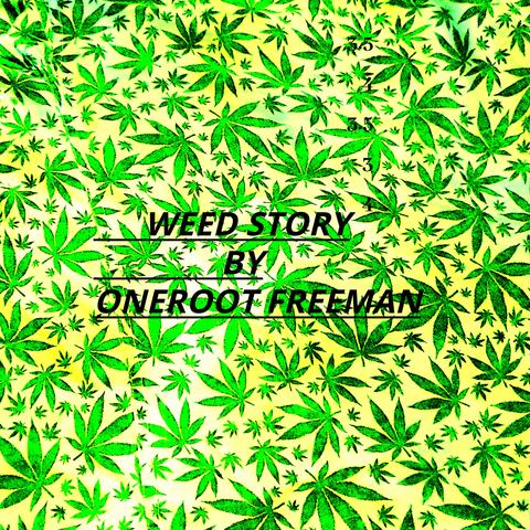 WEED STORY (Radio Edit)