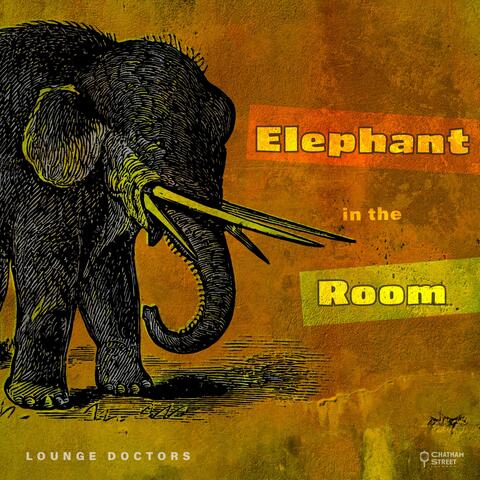 Elephant In The Room