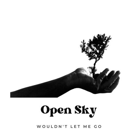 Wouldn't Let Me Go