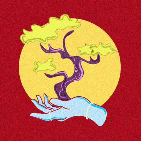 Bonsai