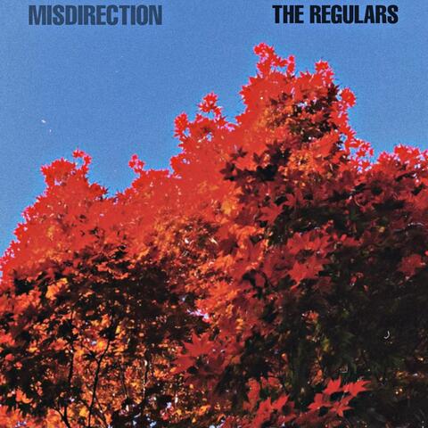 Misdirection