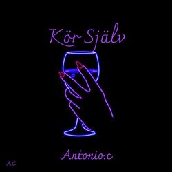 Kör Själv