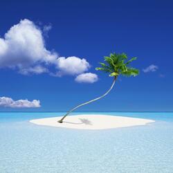 Holiday Away