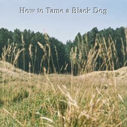 How to Tame a Black Dog