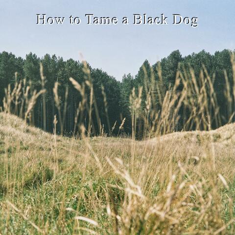 How to Tame a Black Dog