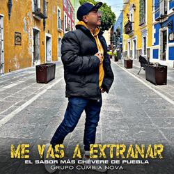 Me Vas a Extrañar