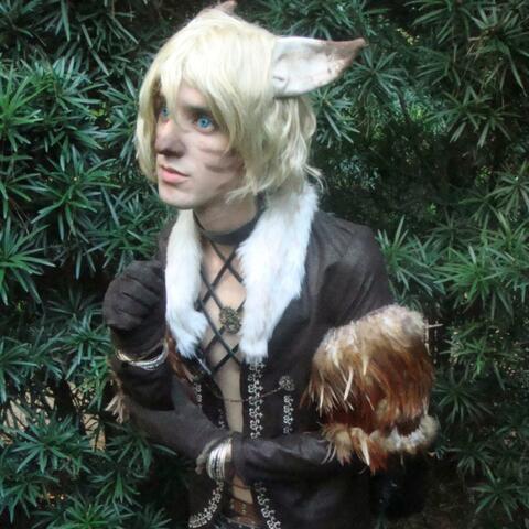 The Return (Final Fantasy XI Cover of Ronfaure)
