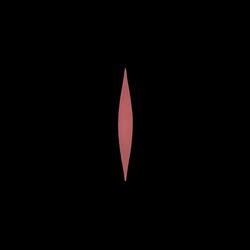 DIVINITY (Raw and Unmastered)