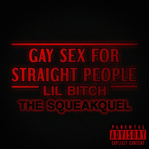 Gay Sex for Straight People: The Squeakquel