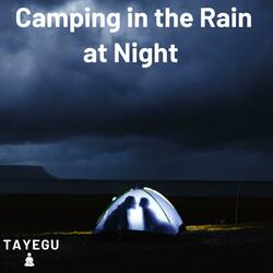 Camping in The Rain at Night Crickets Rain on Tent 1 Hour Relaxing Nature Ambient Yoga Meditation Sound For Sleeping or Study