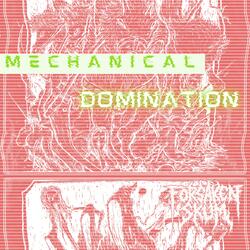 Mechanical Domination