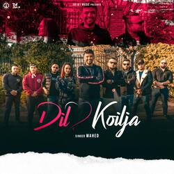 Dil Koilja (feat. Singer Wahed)