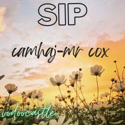 SIP (feat. mr cox)