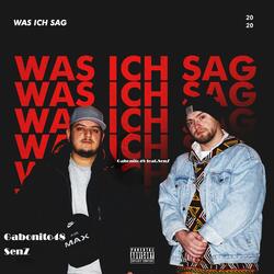 Was Ich Sag (feat. SenZ)