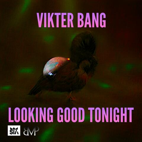 You Looking Good Tonight