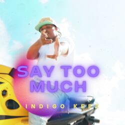 Say Too Much