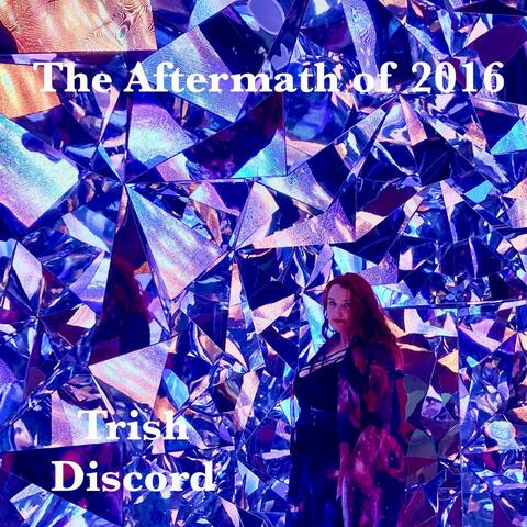 The Aftermath of 2016