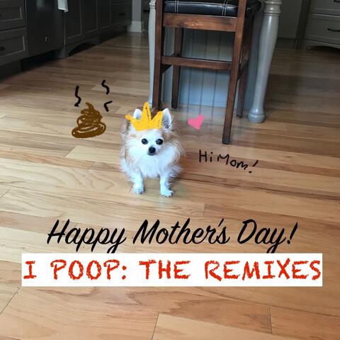I Poop: The Remixes