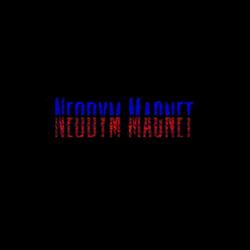 Neodym Magnet