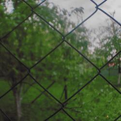 Late Spring Sadness