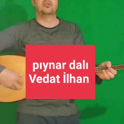 Pıynar dalı