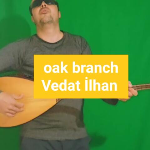 Oak Branch