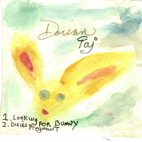 Looking for Bunny / Dixie's Pregnant