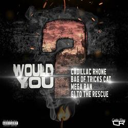 Would You (feat. Bag Of Tricks Cat, Mega Ran, G1 To The Rescue)