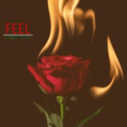 Feel