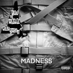 Madness (feat. DJ Slipwax)