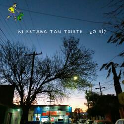 Ni estaba tan triste... ¿O sí?