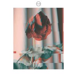 Womb (Encounter Meditation)