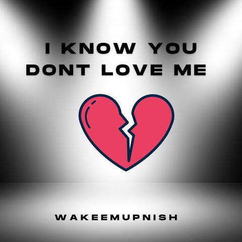 I KNOW YOU DONT LOVE ME (feat. SHAUNNI F'EM)