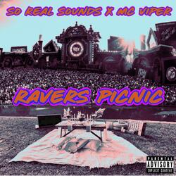 Ravers Picnic (feat. Mc Viper)