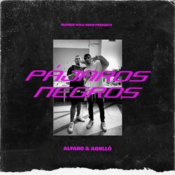 Pájaros Negros (feat. Alfaro)