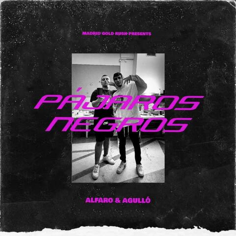Pájaros Negros (feat. Alfaro)