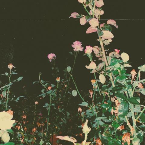 tomorrow