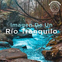 Imagen De Un Río Tranquilo