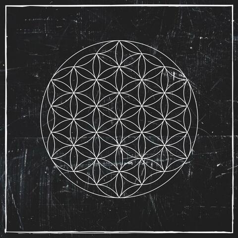 Flower Of Life