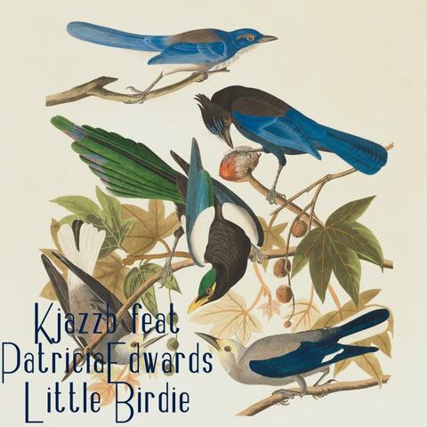 little birdie (feat. PatriciaEdwards)