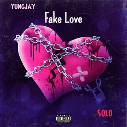 Fake Love (feat. STS Solo)