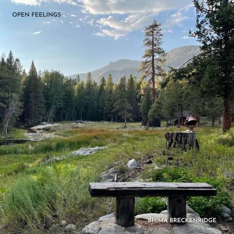 Open Feelings