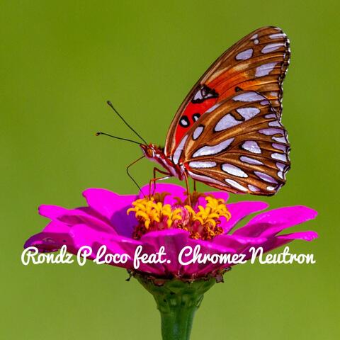 Butterflies (feat. Chromez Neutron) [MR wallbangerz Remix]
