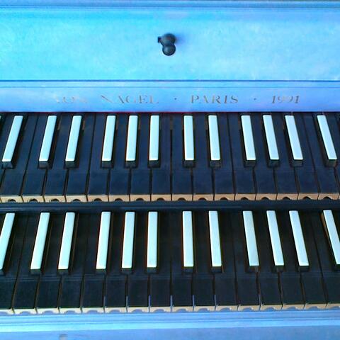 My blues'wings