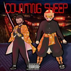 Counting Sheep (feat. Shwabadi)