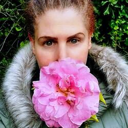 Growing Roses