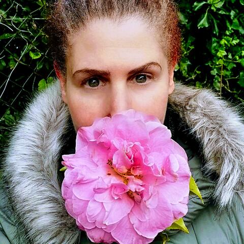 Growing Roses