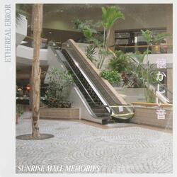 Sunrise Mall Memories