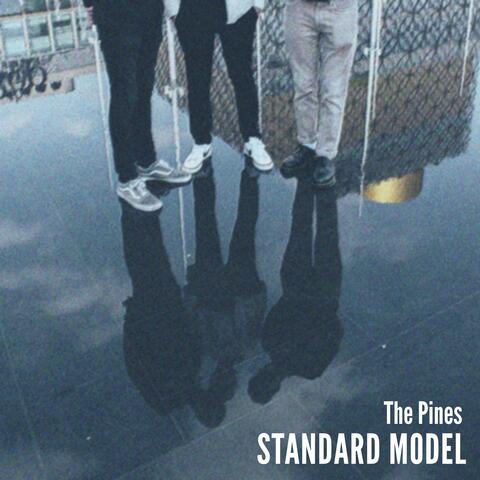 Standard Model