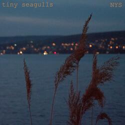 NYS